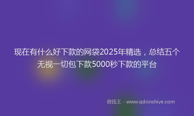 现在有什么好下款的网袋2025年精选，总结五个无视一切包下款5000秒下款的平台