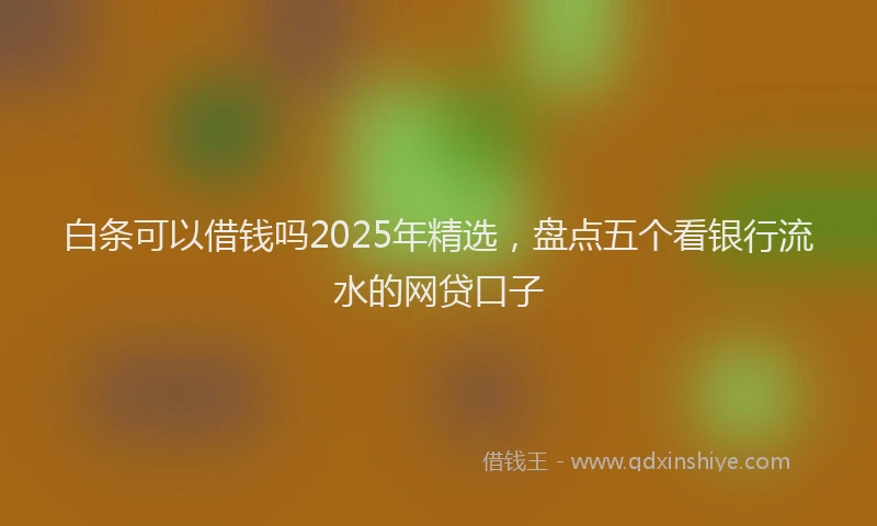 白条可以借钱吗2025年精选，盘点五个看银行流水的网贷口子