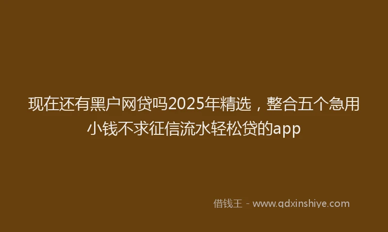 现在还有黑户网贷吗2025年精选，整合五个急用小钱不求征信流水轻松贷的app