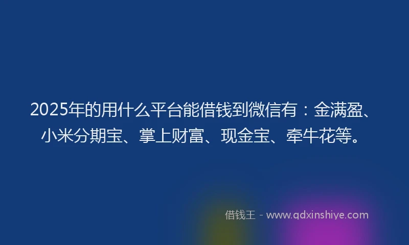2025年的用什么平台能借钱到微信有：金满盈、小米分期宝、掌上财富、现金宝、牵牛花等。