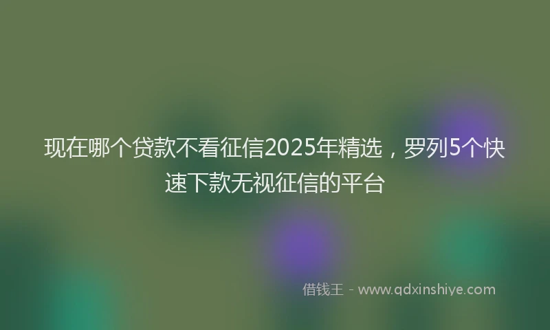 现在哪个贷款不看征信2025年精选，罗列5个快速下款无视征信的平台