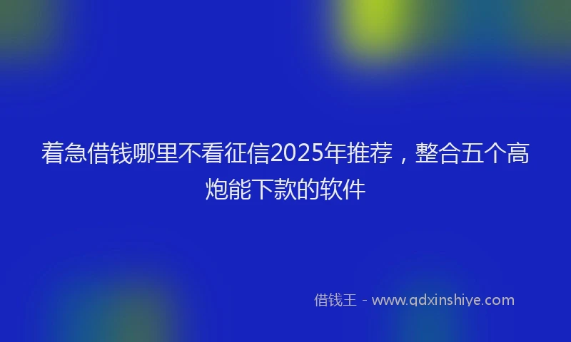 着急借钱哪里不看征信2025年推荐，整合五个高炮能下款的软件