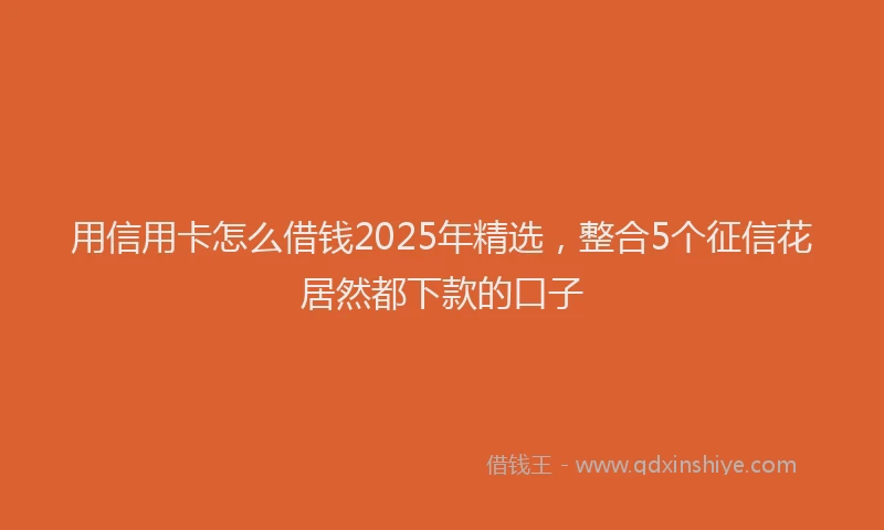 用信用卡怎么借钱2025年精选，整合5个征信花居然都下款的口子