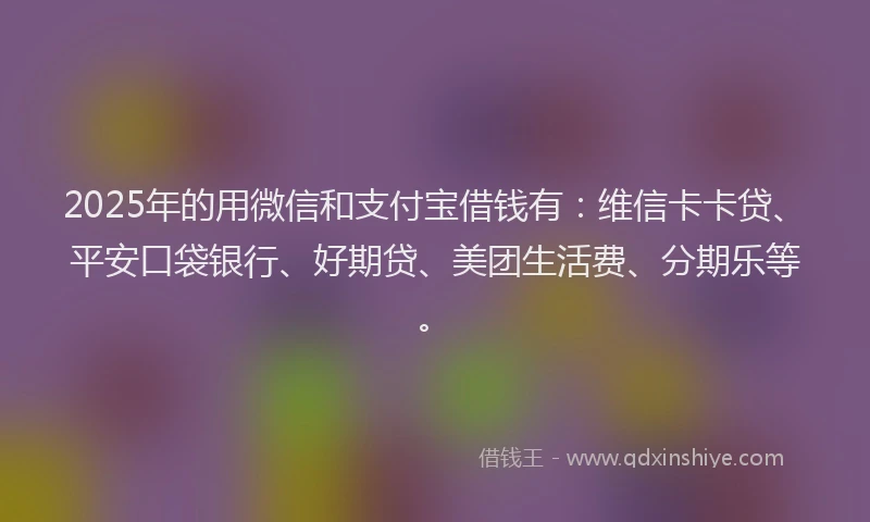 2025年的用微信和支付宝借钱有：维信卡卡贷、平安口袋银行、好期贷、美团生活费、分期乐等。