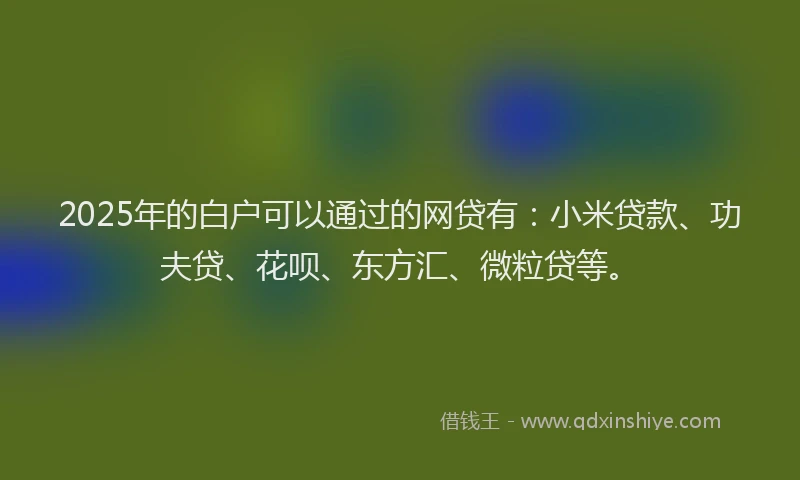 2025年的白户可以通过的网贷有：小米贷款、功夫贷、花呗、东方汇、微粒贷等。
