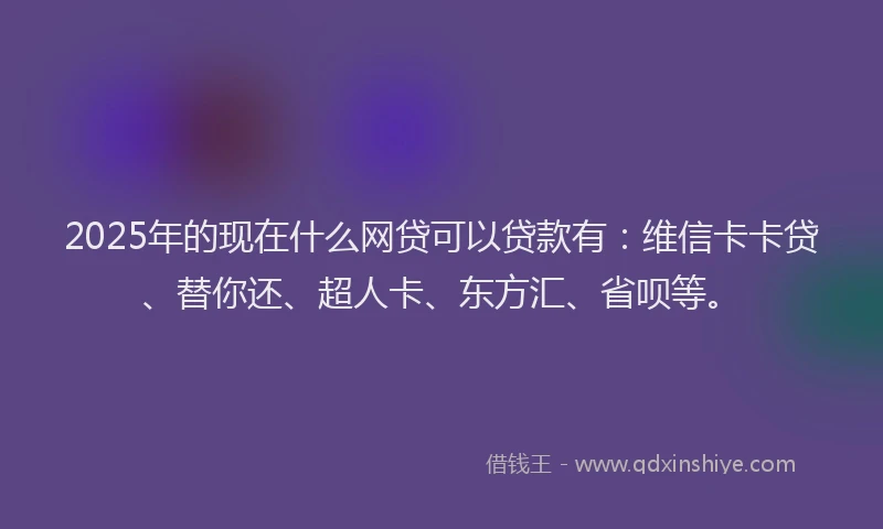 2025年的现在什么网贷可以贷款有：维信卡卡贷、替你还、超人卡、东方汇、省呗等。