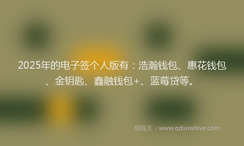 2025年的电子签个人版有：浩瀚钱包、惠花钱包、金钥匙、鑫融钱包+、蓝莓贷等。
