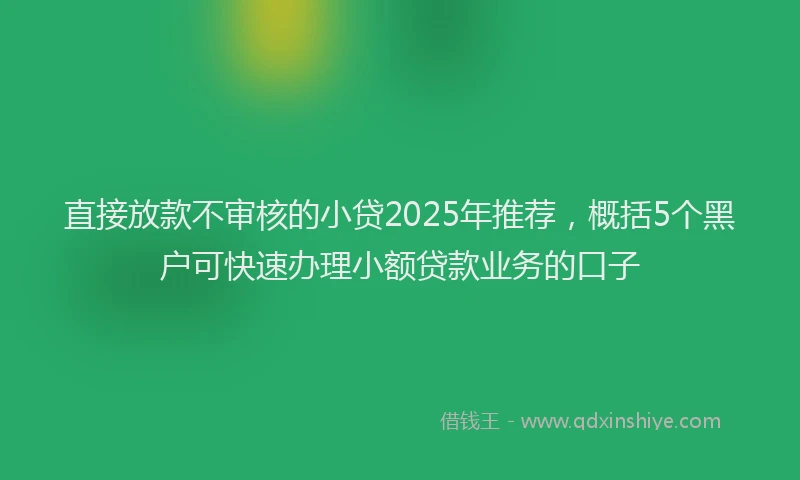直接放款不审核的小贷2025年推荐，概括5个黑户可快速办理小额贷款业务的口子