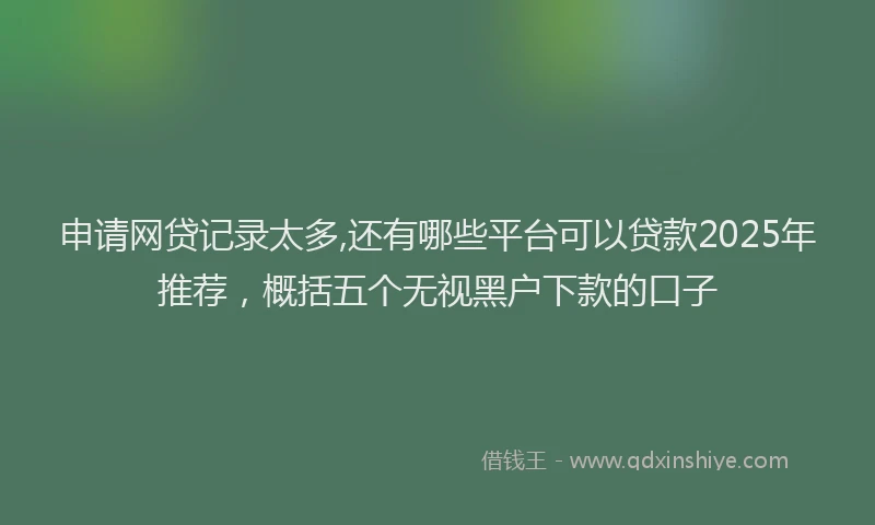 申请网贷记录太多,还有哪些平台可以贷款2025年推荐，概括五个无视黑户下款的口子