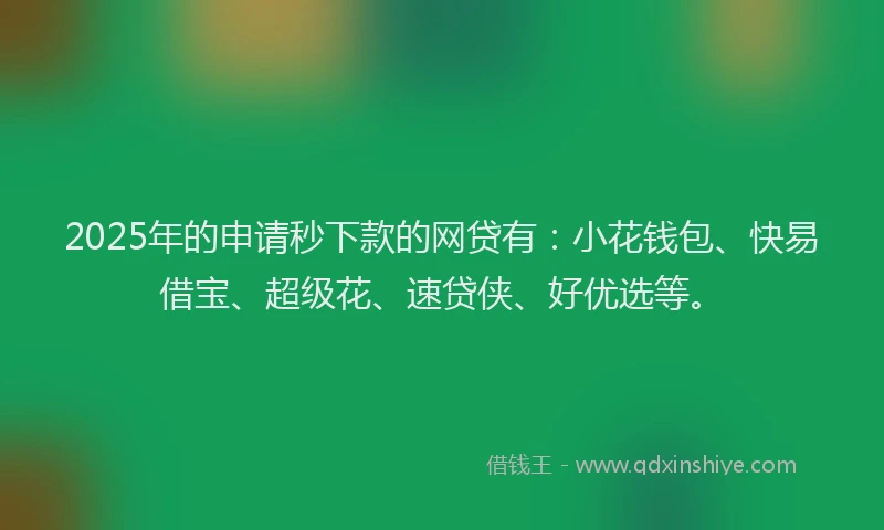 2025年的申请秒下款的网贷有：小花钱包、快易借宝、超级花、速贷侠、好优选等。