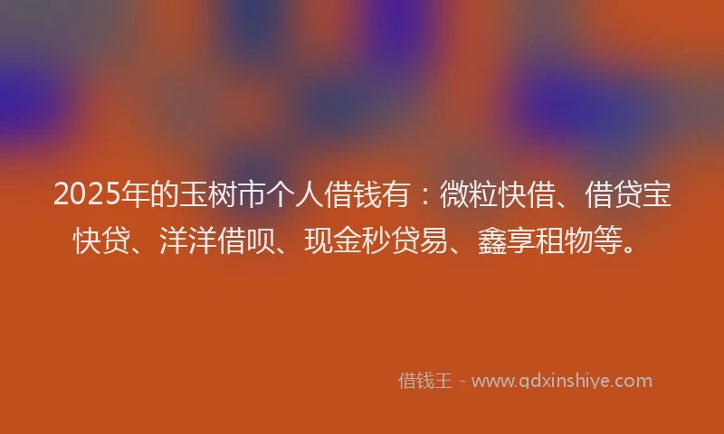 2025年的玉树市个人借钱有：微粒快借、借贷宝快贷、洋洋借呗、现金秒贷易、鑫享租物等。