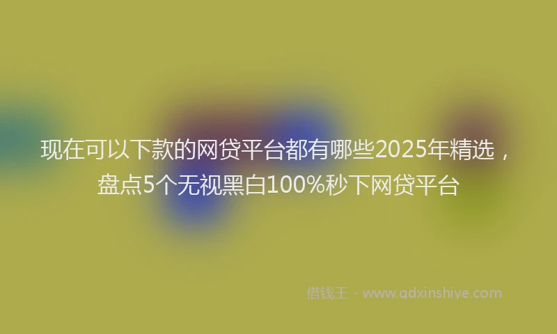 现在可以下款的网贷平台都有哪些2025年精选，盘点5个无视黑白100%秒下网贷平台