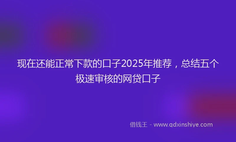 现在还能正常下款的口子2025年推荐，总结五个极速审核的网贷口子