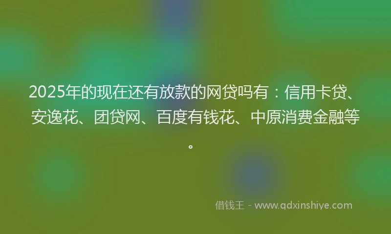 2025年的现在还有放款的网贷吗有：信用卡贷、安逸花、团贷网、百度有钱花、中原消费金融等。