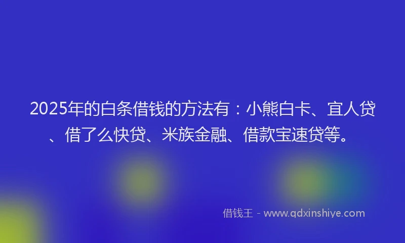 2025年的白条借钱的方法有：小熊白卡、宜人贷、借了么快贷、米族金融、借款宝速贷等。