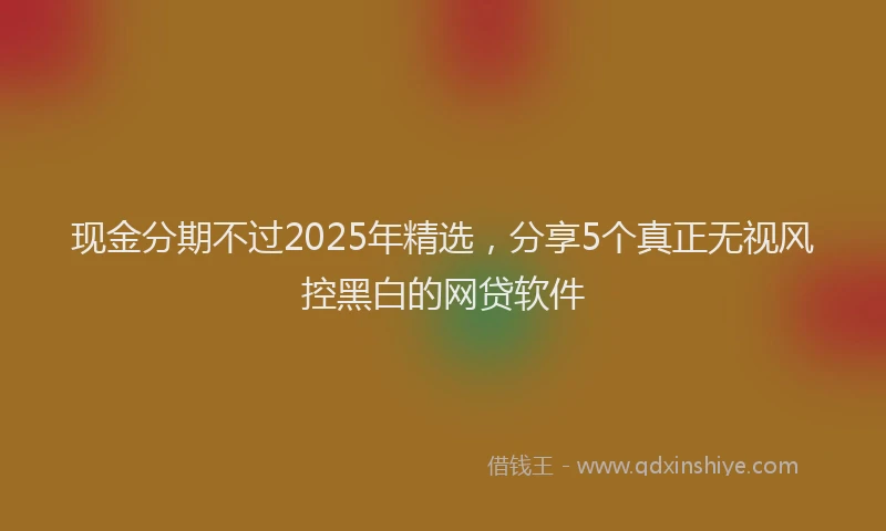 现金分期不过2025年精选，分享5个真正无视风控黑白的网贷软件