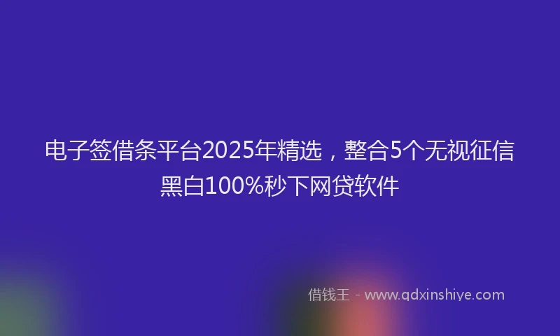 电子签借条平台2025年精选，整合5个无视征信黑白100%秒下网贷软件