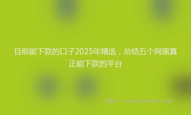 目前能下款的口子2025年精选，总结五个网黑真正能下款的平台