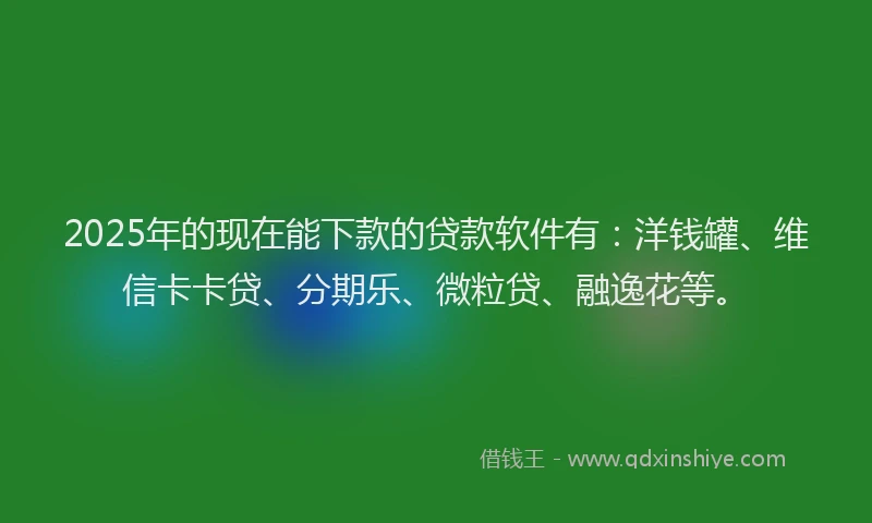 2025年的现在能下款的贷款软件有：洋钱罐、维信卡卡贷、分期乐、微粒贷、融逸花等。