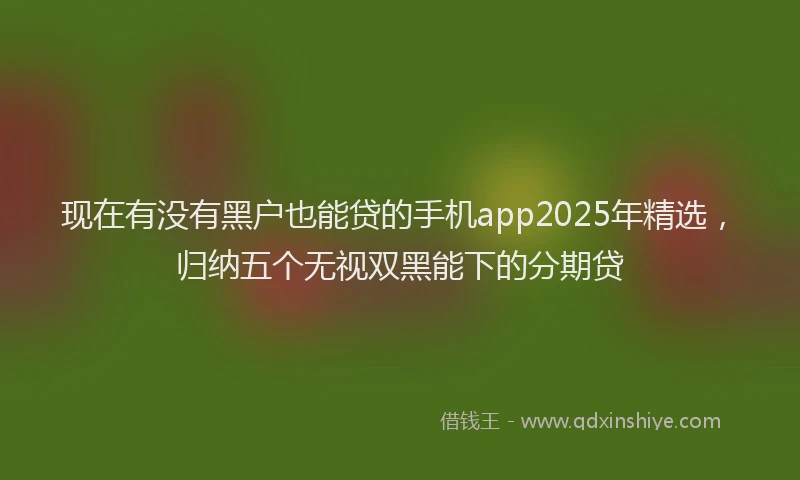 现在有没有黑户也能贷的手机app2025年精选，归纳五个无视双黑能下的分期贷