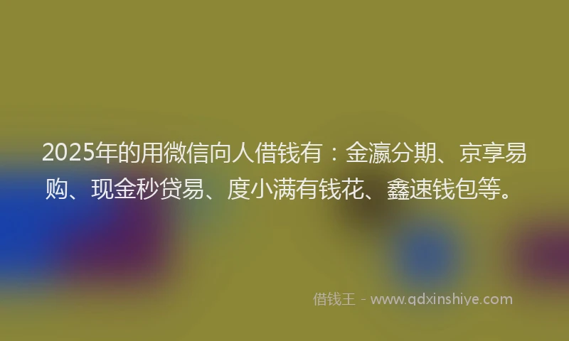 2025年的用微信向人借钱有：金瀛分期、京享易购、现金秒贷易、度小满有钱花、鑫速钱包等。