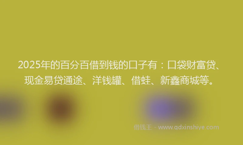 2025年的百分百借到钱的口子有：口袋财富贷、现金易贷通途、洋钱罐、借蛙、新鑫商城等。