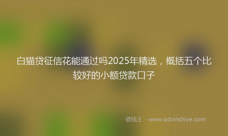 白猫贷征信花能通过吗2025年精选，概括五个比较好的小额贷款口子