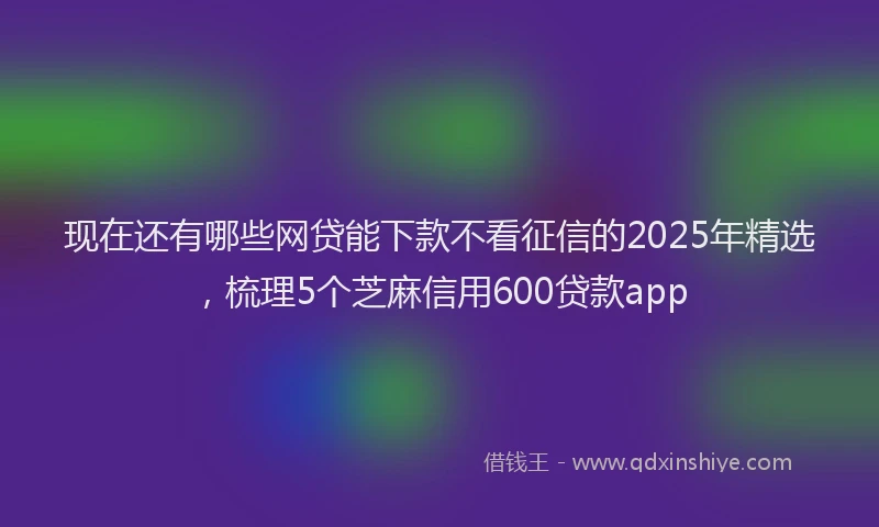 现在还有哪些网贷能下款不看征信的2025年精选，梳理5个芝麻信用600贷款app