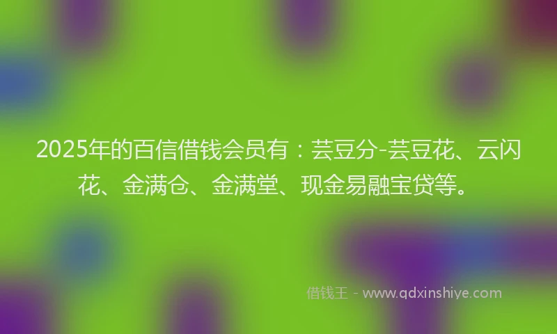 2025年的百信借钱会员有：芸豆分-芸豆花、云闪花、金满仓、金满堂、现金易融宝贷等。