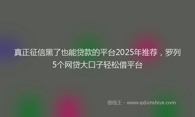 真正征信黑了也能贷款的平台2025年推荐，罗列5个网贷大口子轻松借平台
