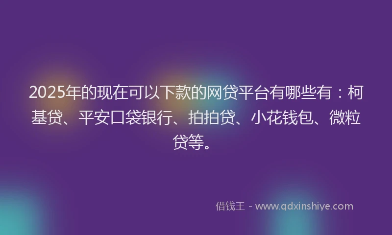 2025年的现在可以下款的网贷平台有哪些有：柯基贷、平安口袋银行、拍拍贷、小花钱包、微粒贷等。