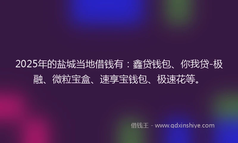 2025年的盐城当地借钱有：鑫贷钱包、你我贷-极融、微粒宝盒、速享宝钱包、极速花等。