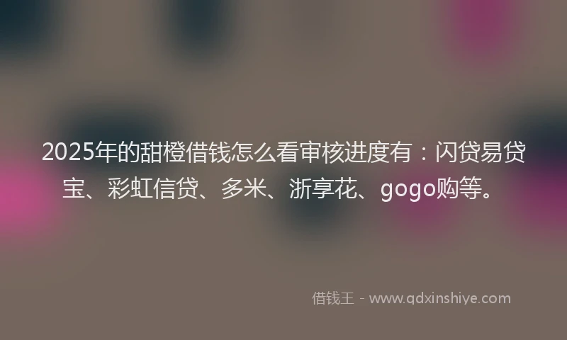 2025年的甜橙借钱怎么看审核进度有：闪贷易贷宝、彩虹信贷、多米、浙享花、gogo购等。