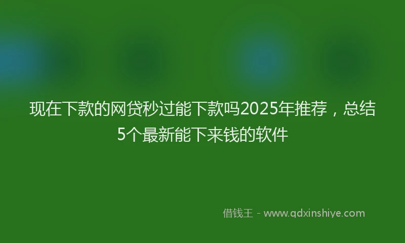 现在下款的网贷秒过能下款吗2025年推荐，总结5个最新能下来钱的软件
