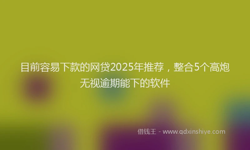 目前容易下款的网贷2025年推荐，整合5个高炮无视逾期能下的软件
