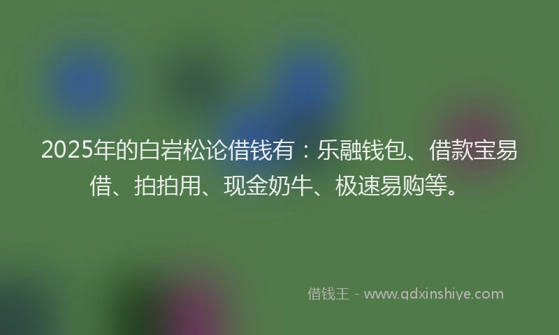 2025年的白岩松论借钱有：乐融钱包、借款宝易借、拍拍用、现金奶牛、极速易购等。