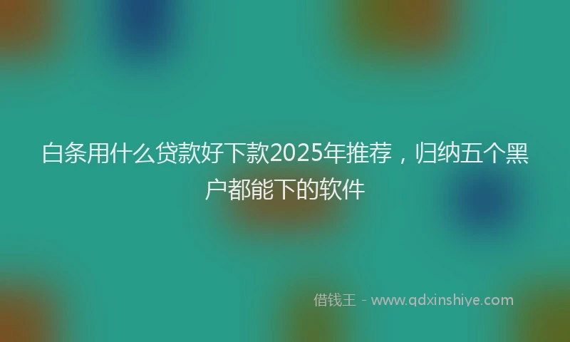 白条用什么贷款好下款2025年推荐，归纳五个黑户都能下的软件