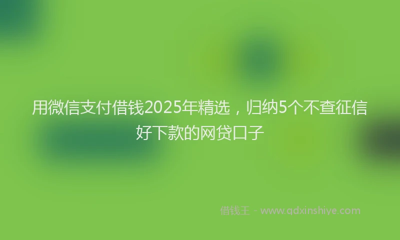 用微信支付借钱2025年精选，归纳5个不查征信好下款的网贷口子