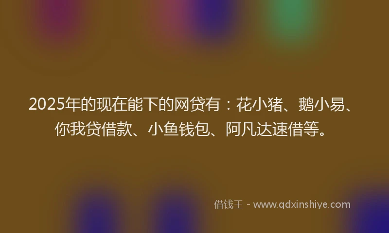 2025年的现在能下的网贷有：花小猪、鹅小易、你我贷借款、小鱼钱包、阿凡达速借等。