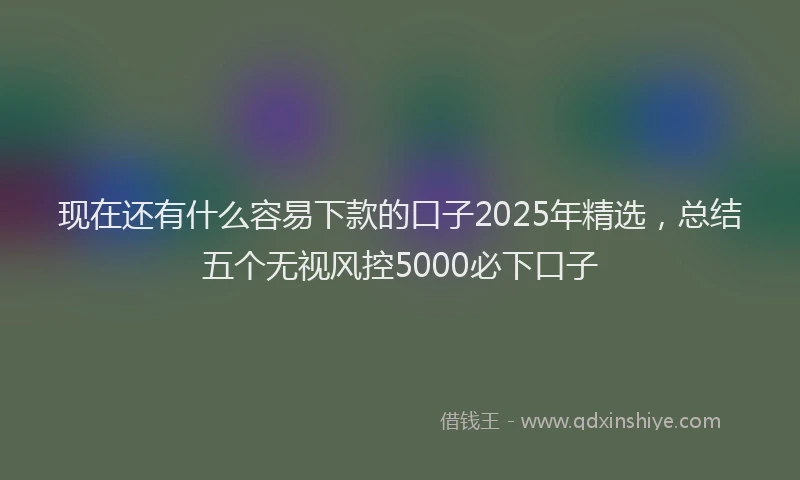 现在还有什么容易下款的口子2025年精选，总结五个无视风控5000必下口子