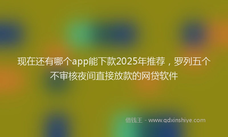 现在还有哪个app能下款2025年推荐，罗列五个不审核夜间直接放款的网贷软件