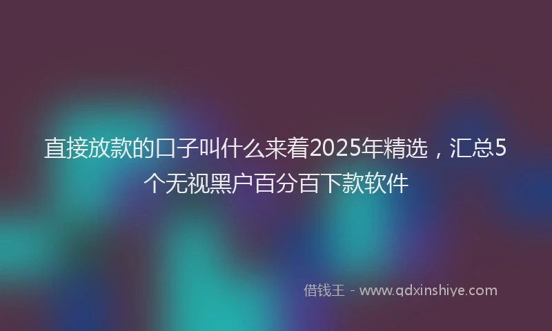 直接放款的口子叫什么来着2025年精选，汇总5个无视黑户百分百下款软件