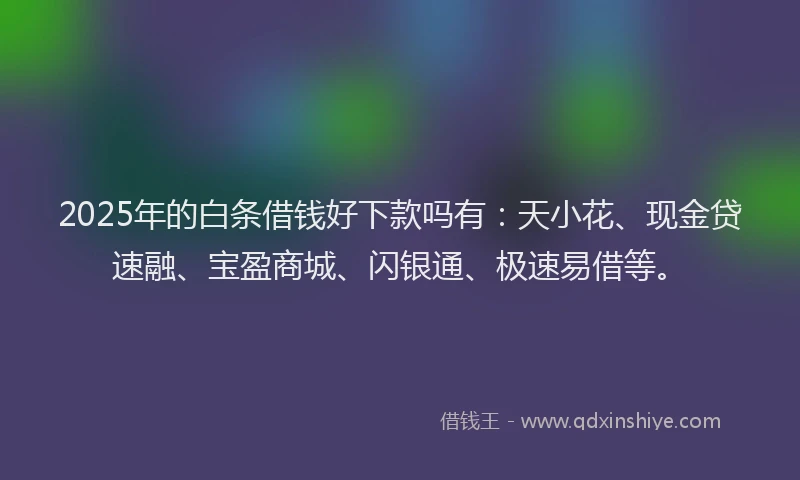 2025年的白条借钱好下款吗有：天小花、现金贷速融、宝盈商城、闪银通、极速易借等。
