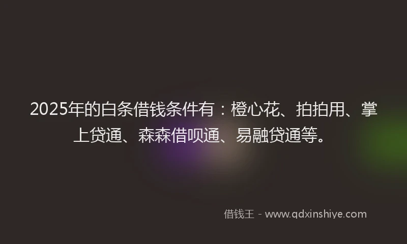 2025年的白条借钱条件有：橙心花、拍拍用、掌上贷通、森森借呗通、易融贷通等。