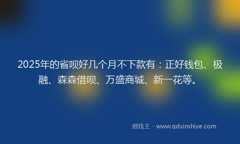 2025年的省呗好几个月不下款有：正好钱包、极融、森森借呗、万盛商城、新一花等。
