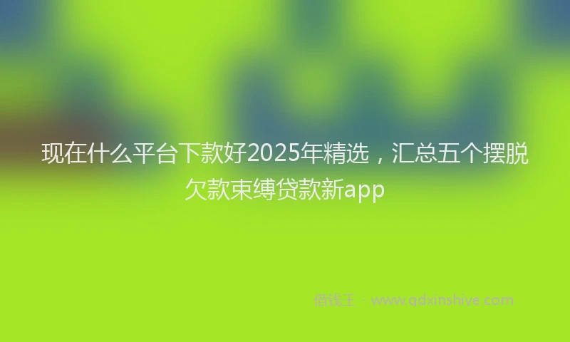 现在什么平台下款好2025年精选，汇总五个摆脱欠款束缚贷款新app