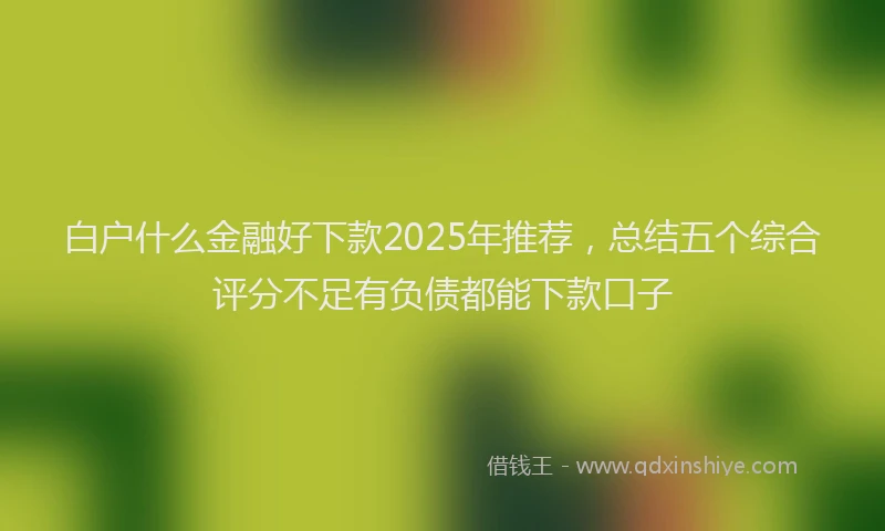 白户什么金融好下款2025年推荐，总结五个综合评分不足有负债都能下款口子