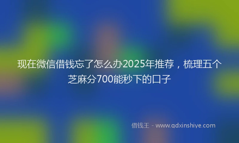现在微信借钱忘了怎么办2025年推荐，梳理五个芝麻分700能秒下的口子