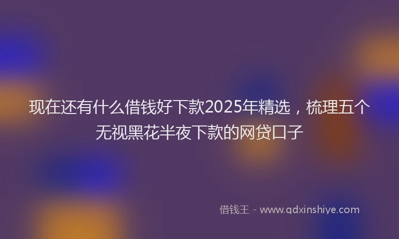 现在还有什么借钱好下款2025年精选，梳理五个无视黑花半夜下款的网贷口子