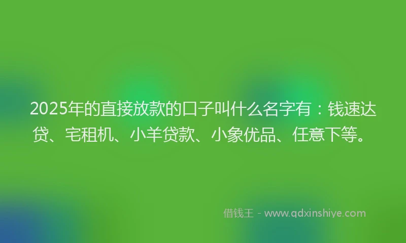 2025年的直接放款的口子叫什么名字有：钱速达贷、宅租机、小羊贷款、小象优品、任意下等。